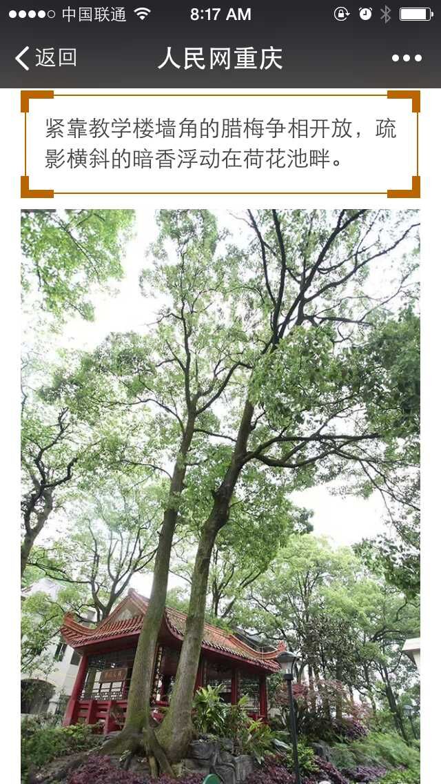 \\"QQ图片20150601082009.jpg"