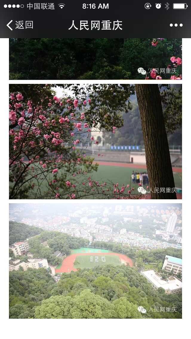 \\"QQ图片20150601081847.jpg"
